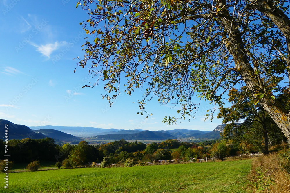 Obraz premium Almen in den Wiener Alpen