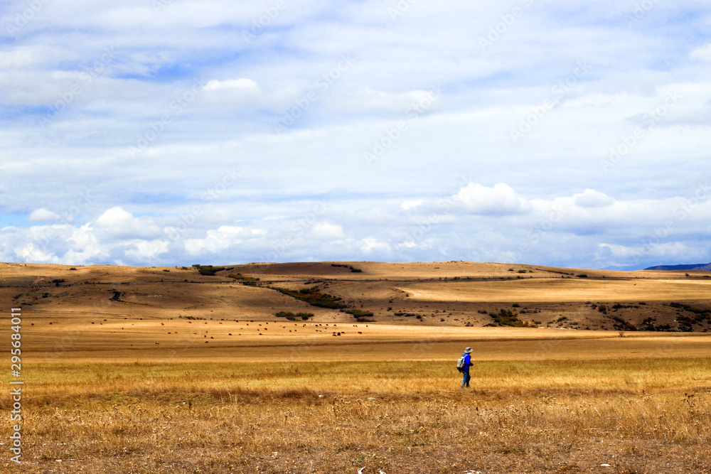 Obraz premium Sunny yellow valley, mountains, cloudy sky and traveler silhouette.