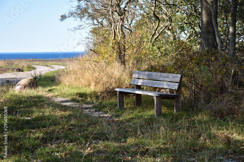Wooden bench by the coast