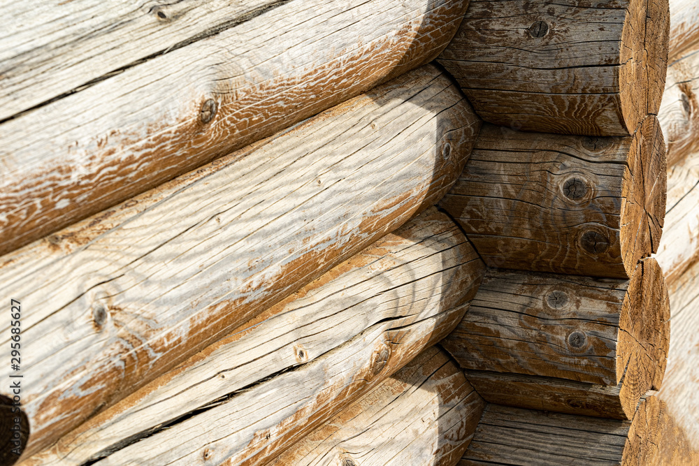 wooden log corner of the house. log wall. light wooden wall. environmentally friendly house. wooden blockhouse. wood fibers. logs. log cut. rustic wooden cabin. tree knots. hardwood. copy space wooden log corner of the house. log wall. light wooden wall. environmentally friendly house. wooden blockhouse. wood fibers. logs. log cut. rustic wooden cabin. tree knots. hardwood. copy space