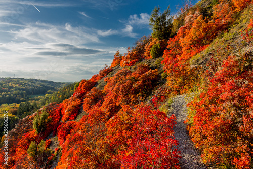 Herbstlicher Spaziergang entlang der Saale-Horizontale im wunderschönen Jena - Jena/Thüringen/Deutschland photo