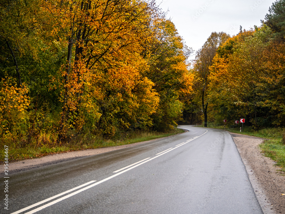 Road in the autumn forest in rain. Asphalt  road in overcast rainy day. Twisting roadway with trees in kaliningrad region. Empty highway in fall woodland.