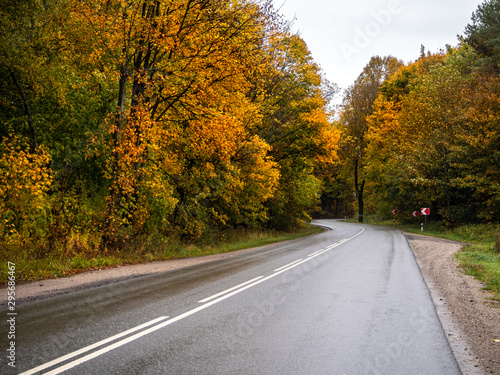 Road in the autumn forest in rain. Asphalt road in overcast rainy day. Twisting roadway with trees in kaliningrad region. Empty highway in fall woodland.