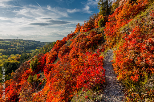 Herbstlicher Spaziergang entlang der Saale-Horizontale im wunderschönen Jena - Jena/Thüringen/Deutschland photo