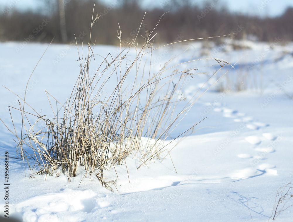 Snow-white snow and the earth sheltered by it. Countryside and snowfall. Winter dunes and mountains of snowflakes. Stock background. Snow-white snow and the earth sheltered by it. Countryside and snowfall. Winter dunes and mountains of snowflakes. Stock background.