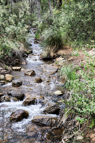 Waterfall in the bush (Lesmurdie Falls, Perth)  photo