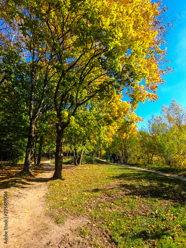 Colorfull city park in the autumn season