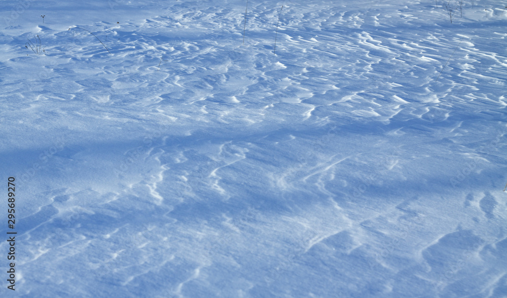 Obraz premium Snow-white snow and the earth sheltered by it. Countryside and snowfall. Winter dunes and mountains of snowflakes. Stock background.