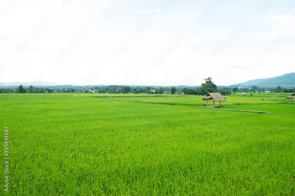 landscape with green field with wooden hut and blue sky
