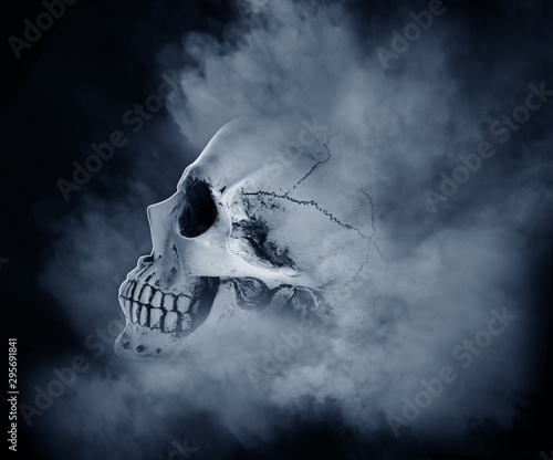 Human skull on white background