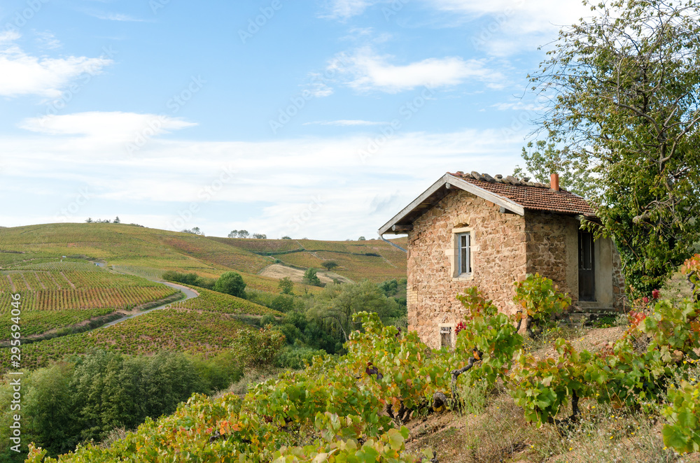 The little house in famous vineyard of Fleurie in Beaujolais