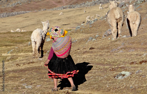 Lamas dans le Nevado Ausangate, montagne de la cordillère de Vilcanota dans les Andes, au Pérou photo