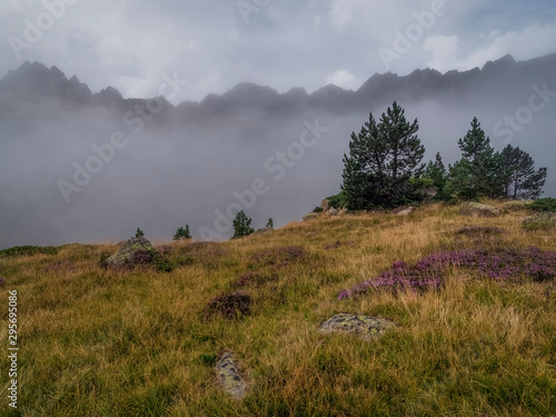 les pyrénées françaises et leur brouillard