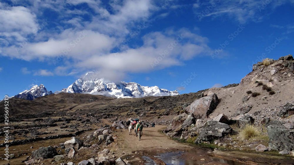 Trekking dans le Nevado Ausangate, montagne de la cordillère de Vilcanota dans les Andes, au Pérou