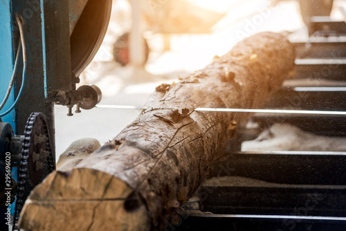 Modern sawmill. Industry sawing boards from logs photo