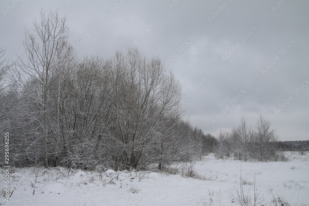 Beautiful winter landscape on a background of trees and forest. Christmas and New Year mood. Snowfall and the view as in a fairy tale