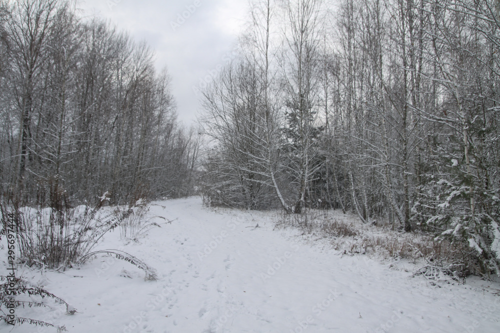 Beautiful winter landscape in the forest. Road outside the city and snowfall. Snowdrifts in the park and uncleaned street. Christmas and New Year background Beautiful winter landscape in the forest. Road outside the city and snowfall. Snowdrifts in the park and uncleaned street. Christmas and New Year background