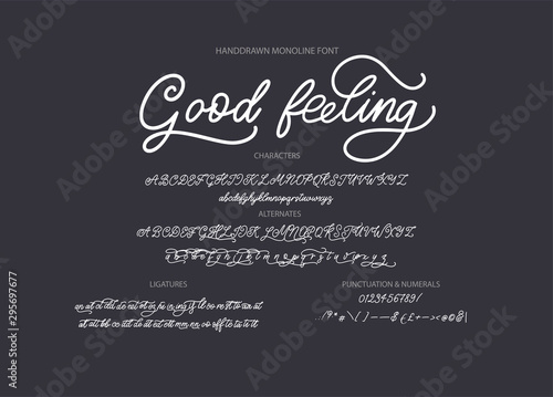 Hand drawn calligraphic vector monoline font. Distress signature letters. Modern script calligraphy type. ABC typography latin signature alphabet. photo