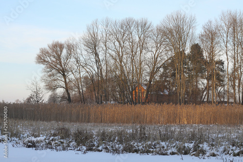 Wallpaper Mural Beautiful winter landscape with a snowy river and lake. Christmas and New Year theme Torontodigital.ca