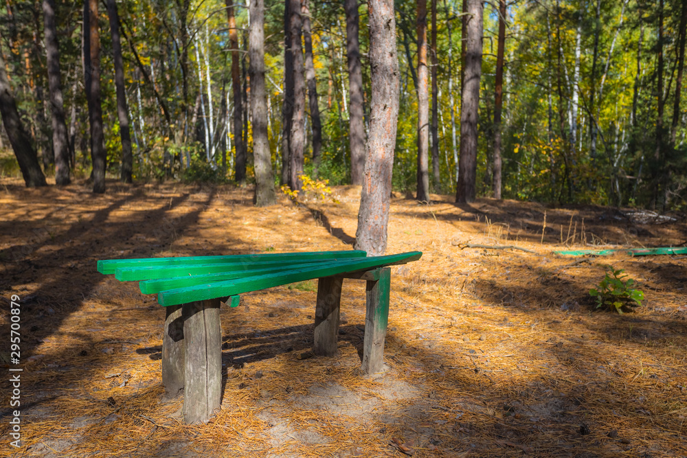 small green wooden bench in a forest, place for rest for the hiker small green wooden bench in a forest, place for rest for the hiker