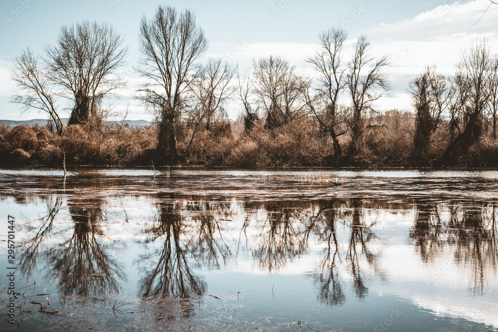 winter landscape with river and trees winter landscape with river and trees