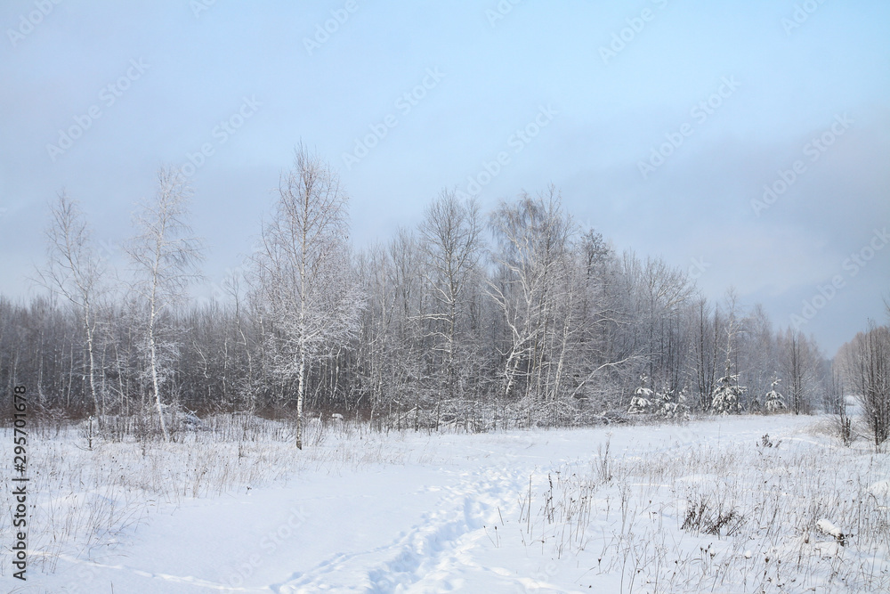 Beautiful winter landscape in the forest. Road outside the city and snowfall. Snowdrifts in the park and uncleaned street. Christmas and New Year background Beautiful winter landscape in the forest. Road outside the city and snowfall. Snowdrifts in the park and uncleaned street. Christmas and New Year background