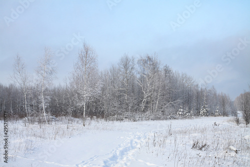 Beautiful winter landscape in the forest. Road outside the city and snowfall. Snowdrifts in the park and uncleaned street. Christmas and New Year background © subjob