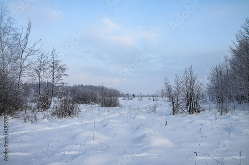 Beautiful winter landscape on a background of trees and forest. Christmas and New Year mood. Snowfall and the view as in a fairy tale © subjob