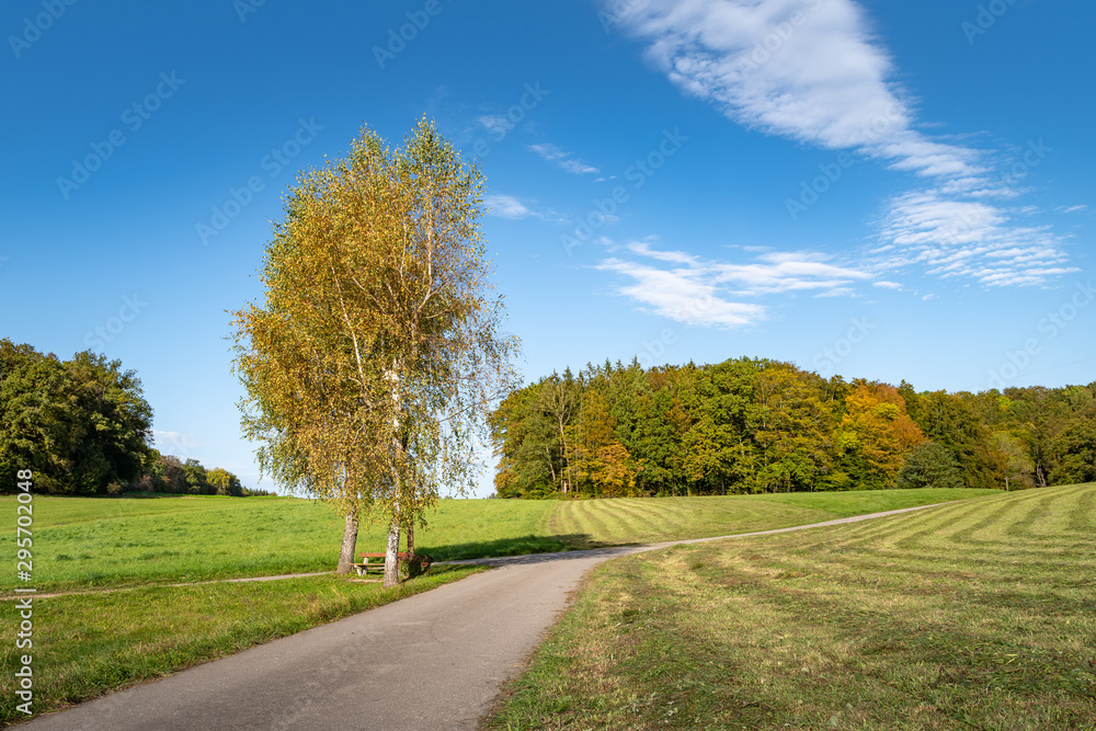 Herbst auf dem Dinkelberg Herbst auf dem Dinkelberg