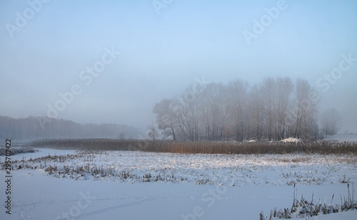 Wallpaper Mural Beautiful winter landscape with snowy trees in the forest. The rays of the sun at sunset or in the morning. Christmas and New Year theme Torontodigital.ca