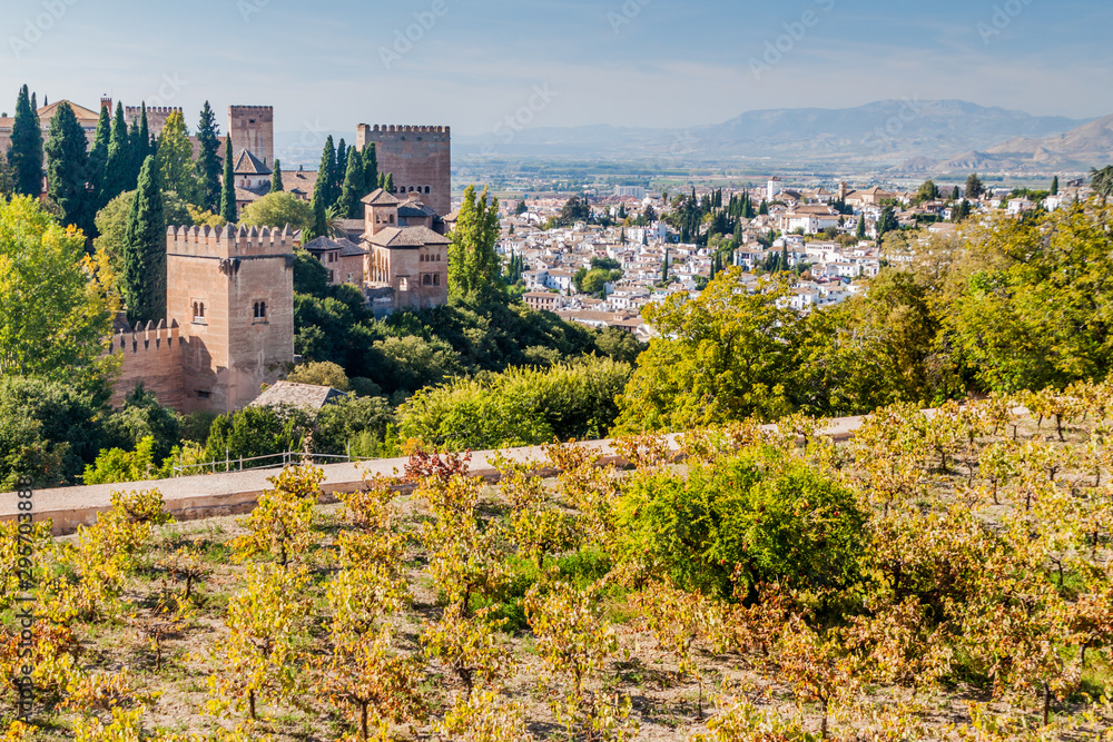 Vineyard at Alhambra fortress in Granada, Spain