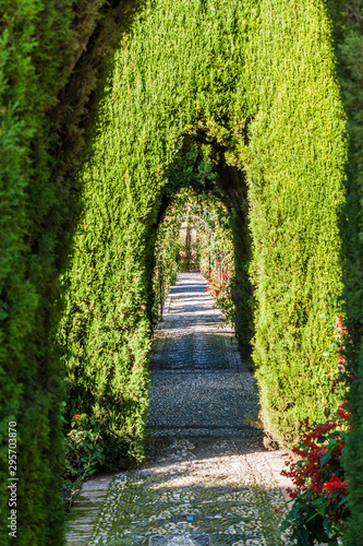 Jardines del Generalife gardens at Alhambra in Granada, Spain