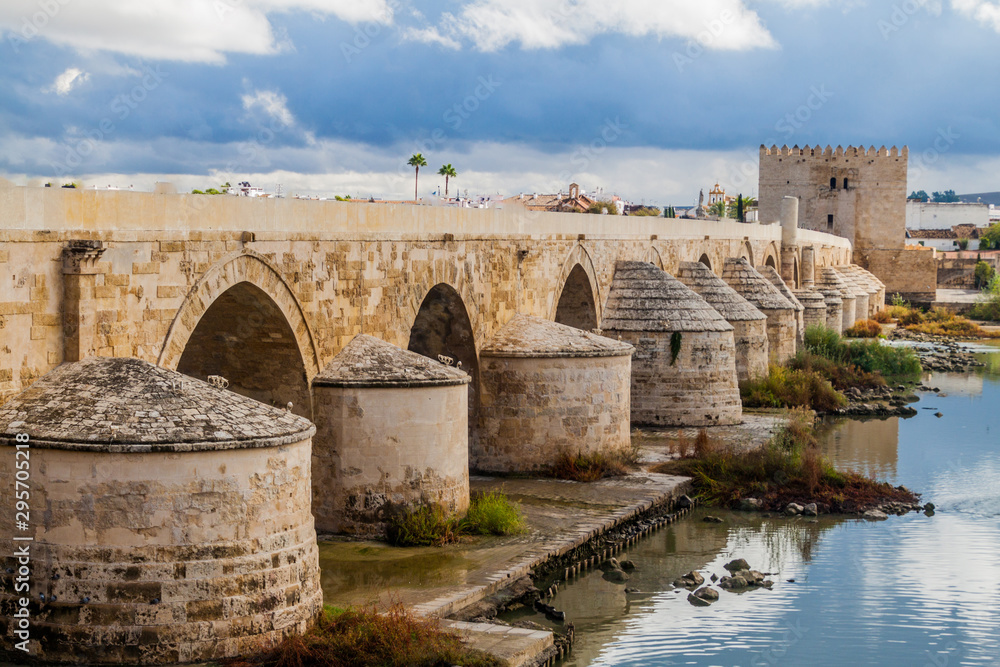 View of the Roman Bridge in Cordoba, Spain