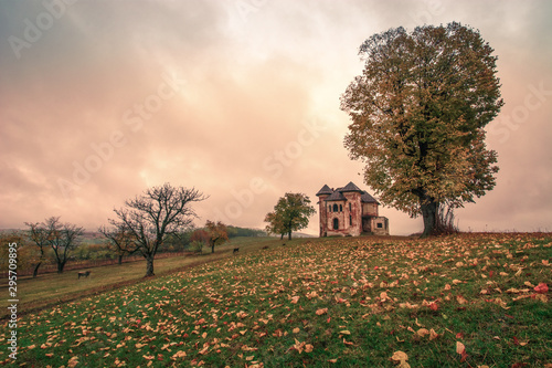 Foto Old Manor Craiova Romania castle sunset tree landscape