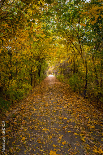 Autumn Park Perspective Alley