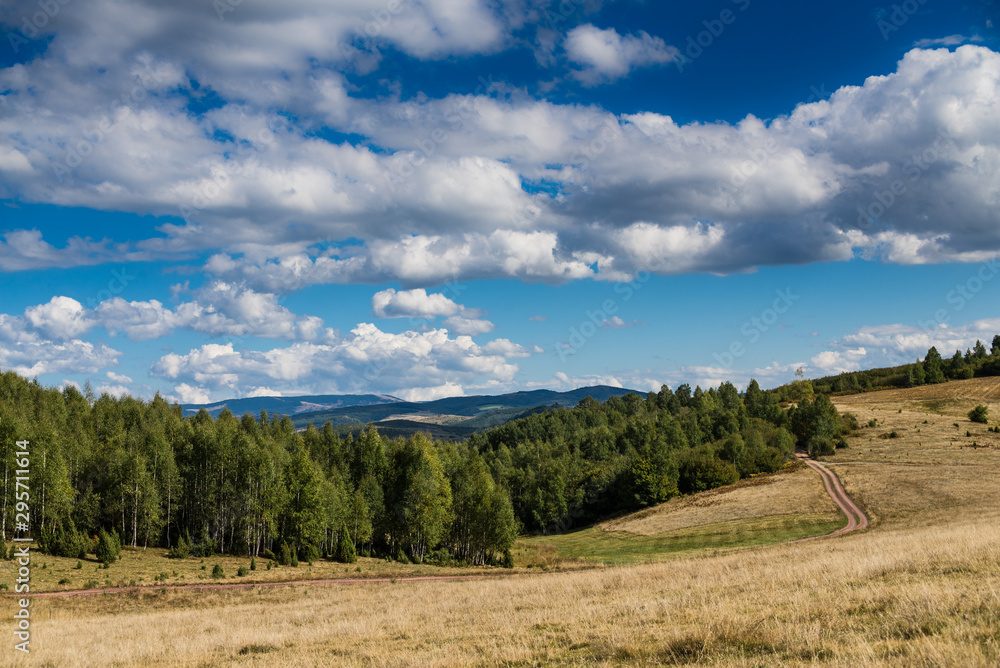 Fototapeta premium landscape with green field and blue sky
