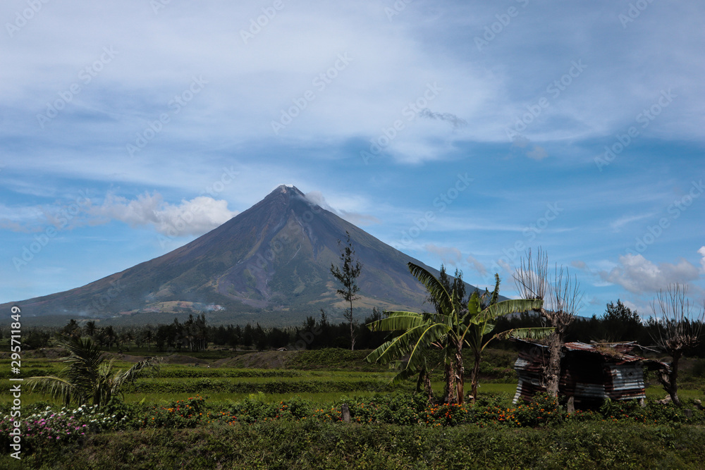 Fototapeta premium Volcano in the background with tree and hut in front
