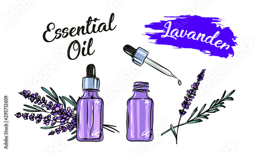Lavander essential oil bottle  and bunch of flowers hand drawn vector illustration. Isolated drawing for Aromatherapy treatment, alternative medicine, beauty and spa, cosmetic ingredient.