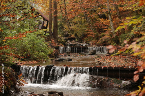 Autumn, red leaves, forest and waterfall. River in the fall.