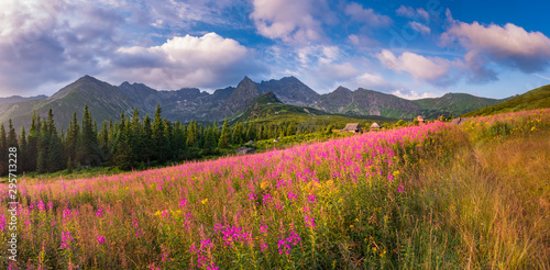 Fototapeta Naklejka Na Ścianę i Meble -  mountain landscape, Tatra mountains panorama, Poland colorful flowers and cottages in Gasienicowa valley (Hala Gasienicowa), summer