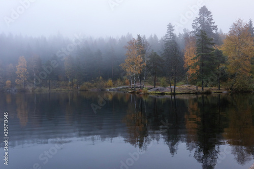 Foggy morning with reflection of trees in lake