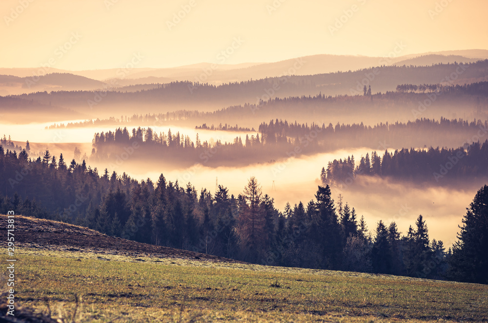 Morning in the misty Carpathian mountains, spring, Poland