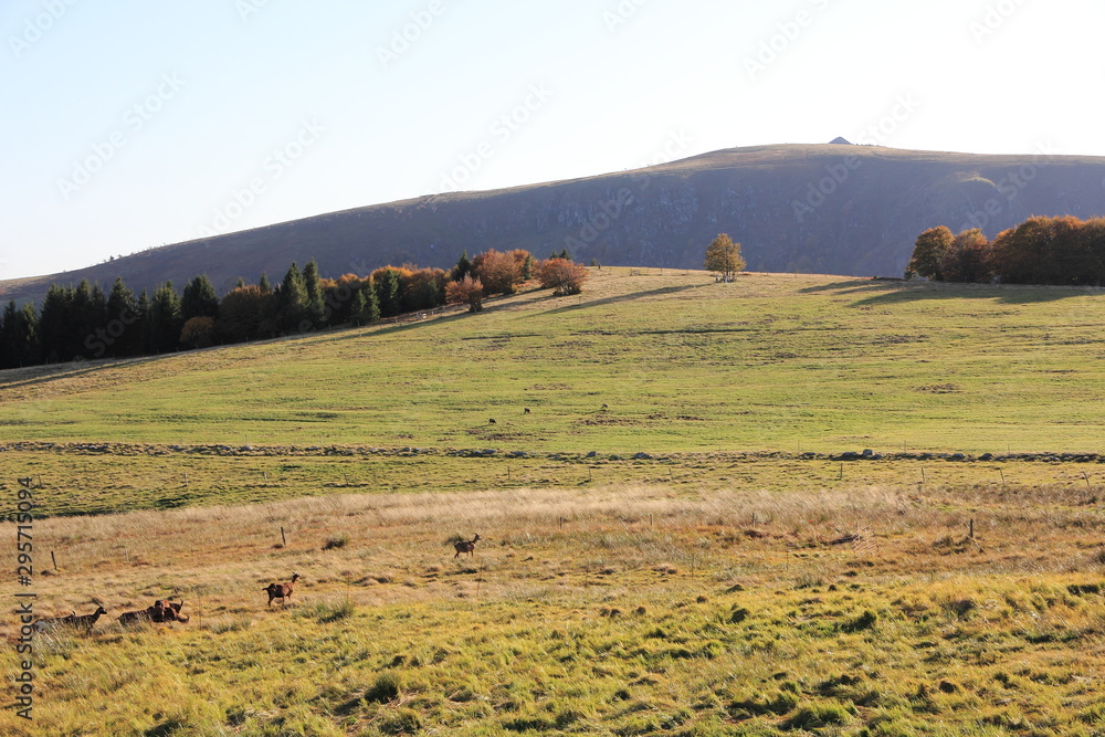 Le Hohneck et les Trois-Fours dans les Vosges Le Hohneck et les Trois-Fours dans les Vosges