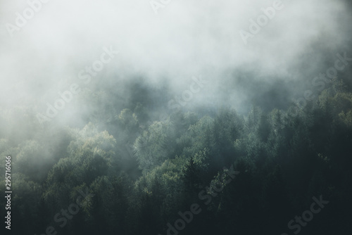 Fog on the mountain © Zoran Jesic