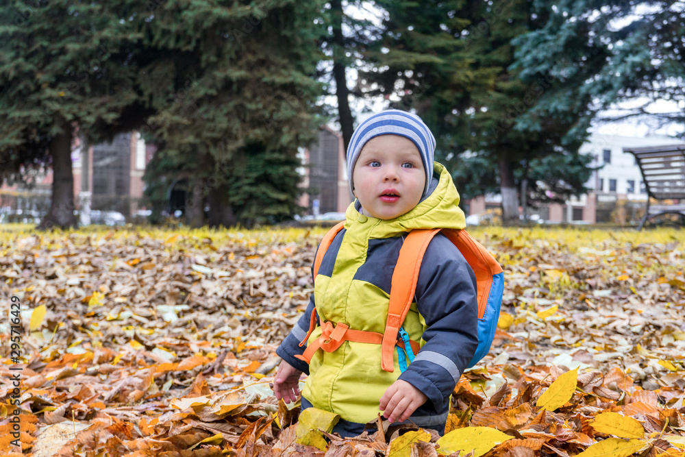 toddler with a colorful child backpack plays among foliage in city Park in autumn toddler with a colorful child backpack plays among foliage in city Park in autumn