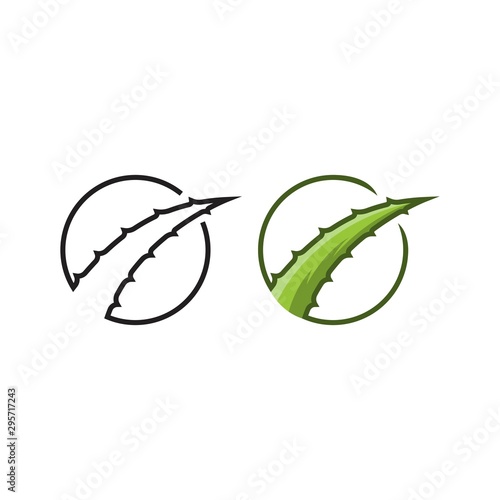 Aloe vera. vector logo icon template