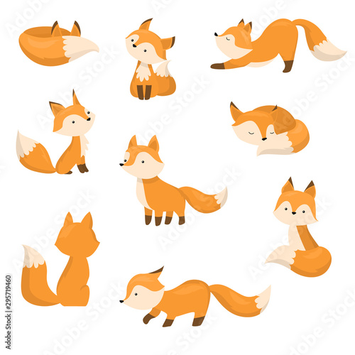 A set of cute cartoon foxes in different actions. Vector illustration in flat cartoon style. photo