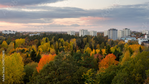 Photography Autumn colors in a suburb of Stockholm, Sweden