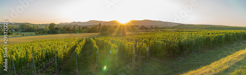 Canvas Print Dangolsheim, France - 09 17 2019: Panoramic view of the vineyards and the village at sunset