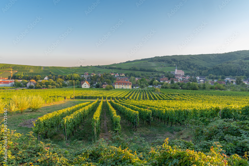 Andlau, France - 09 15 2019: Panoramic view of the vineyards and the village at sunset.
